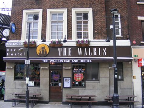 walrus bar